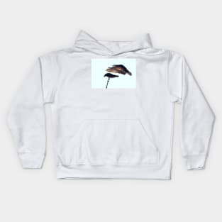 Osprey Kids Hoodie